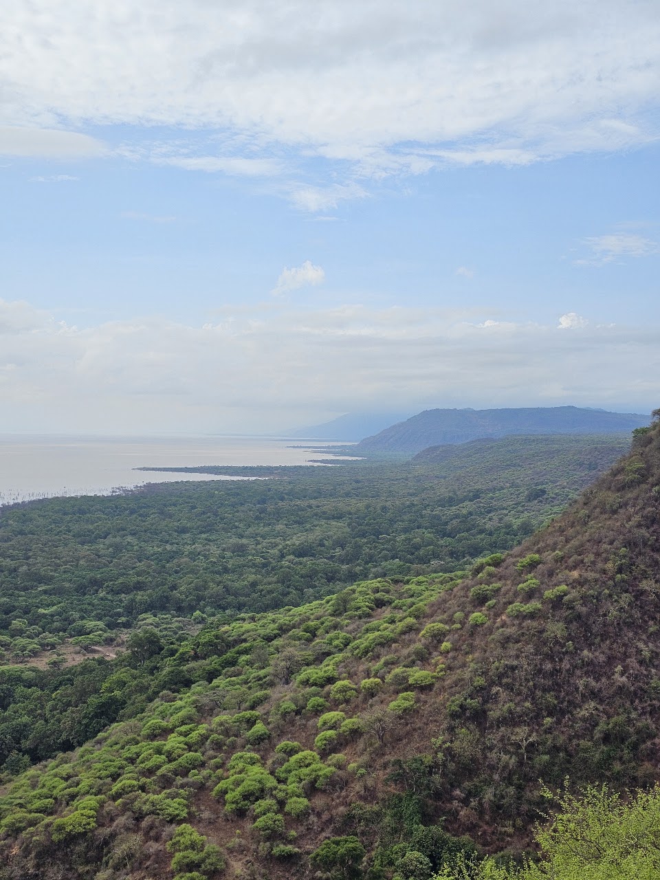 Tarangire & Ngorongoro