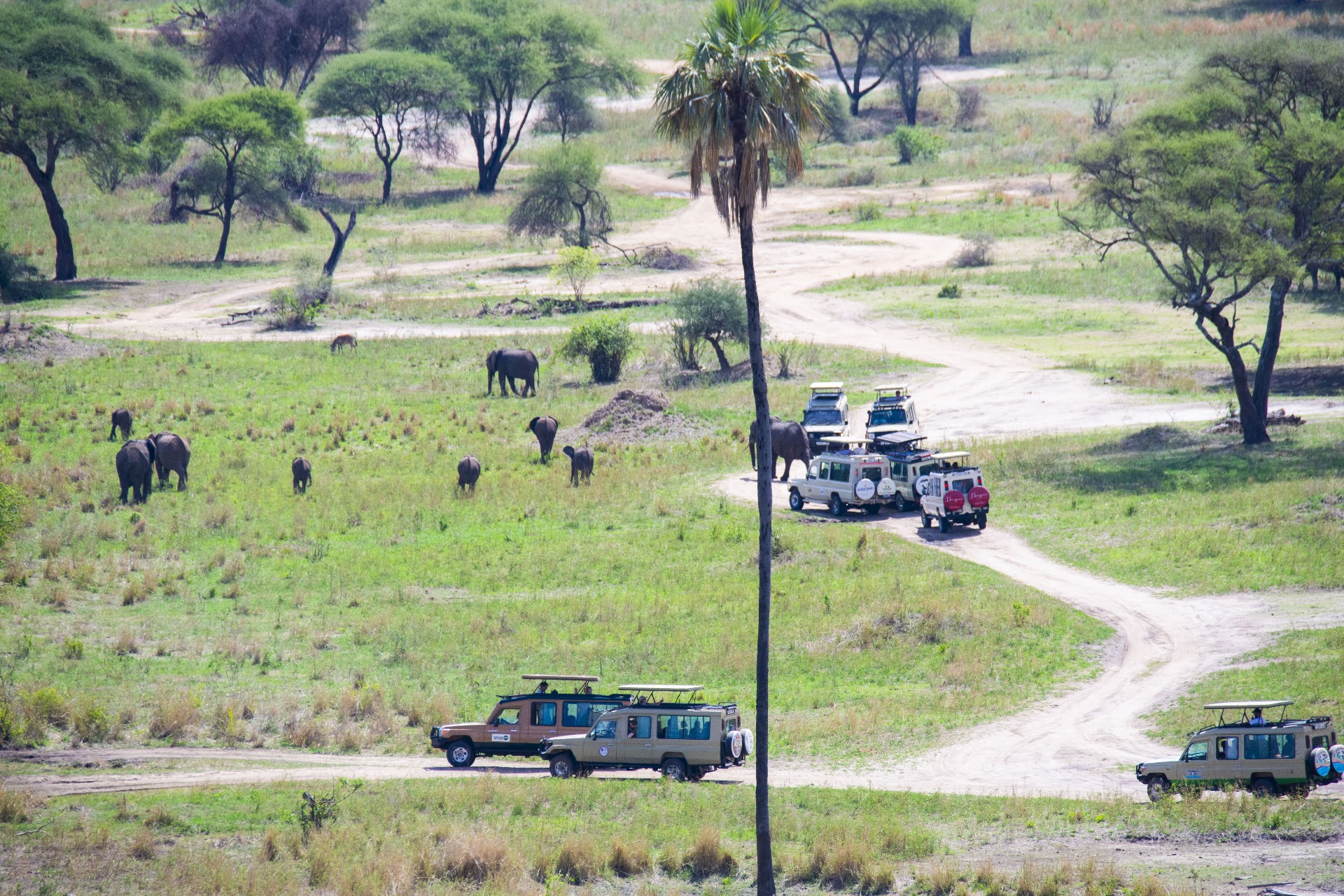 The Best of Tanzania