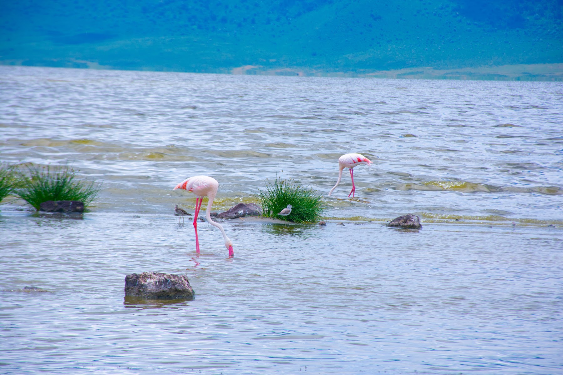 The landscape around Ngorongoro